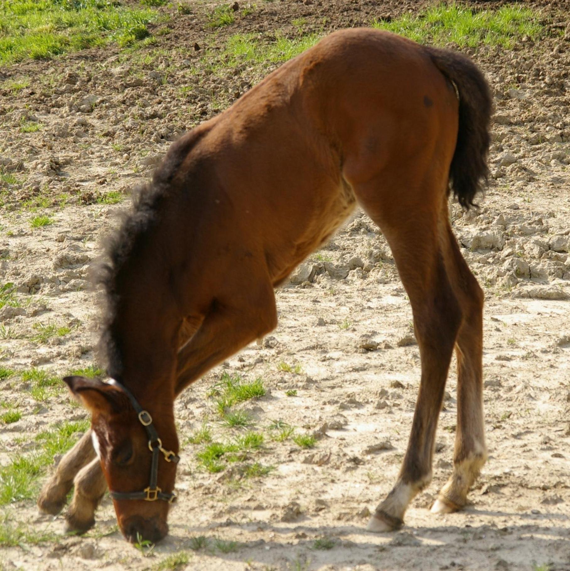 Santa Maria A Poneta Villa Barberino di Val dʼElsa Buitenkant foto